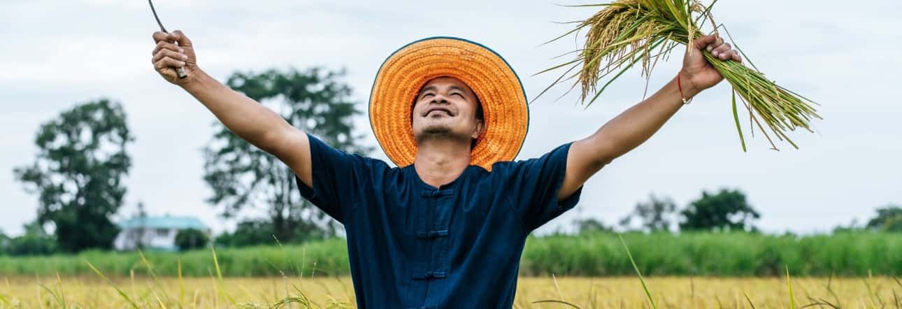 糖果派对