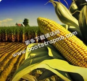 版本更新，抢先了解 - 糖果派对