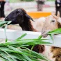 探索糖果派对的精彩世界 - 糖果派对