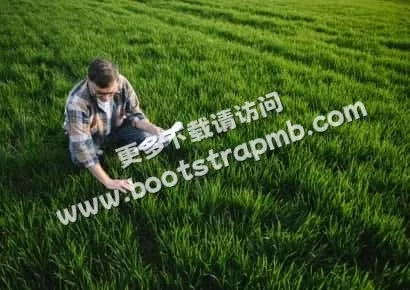 探索糖果派对物流的精彩世界 - 糖果派对
